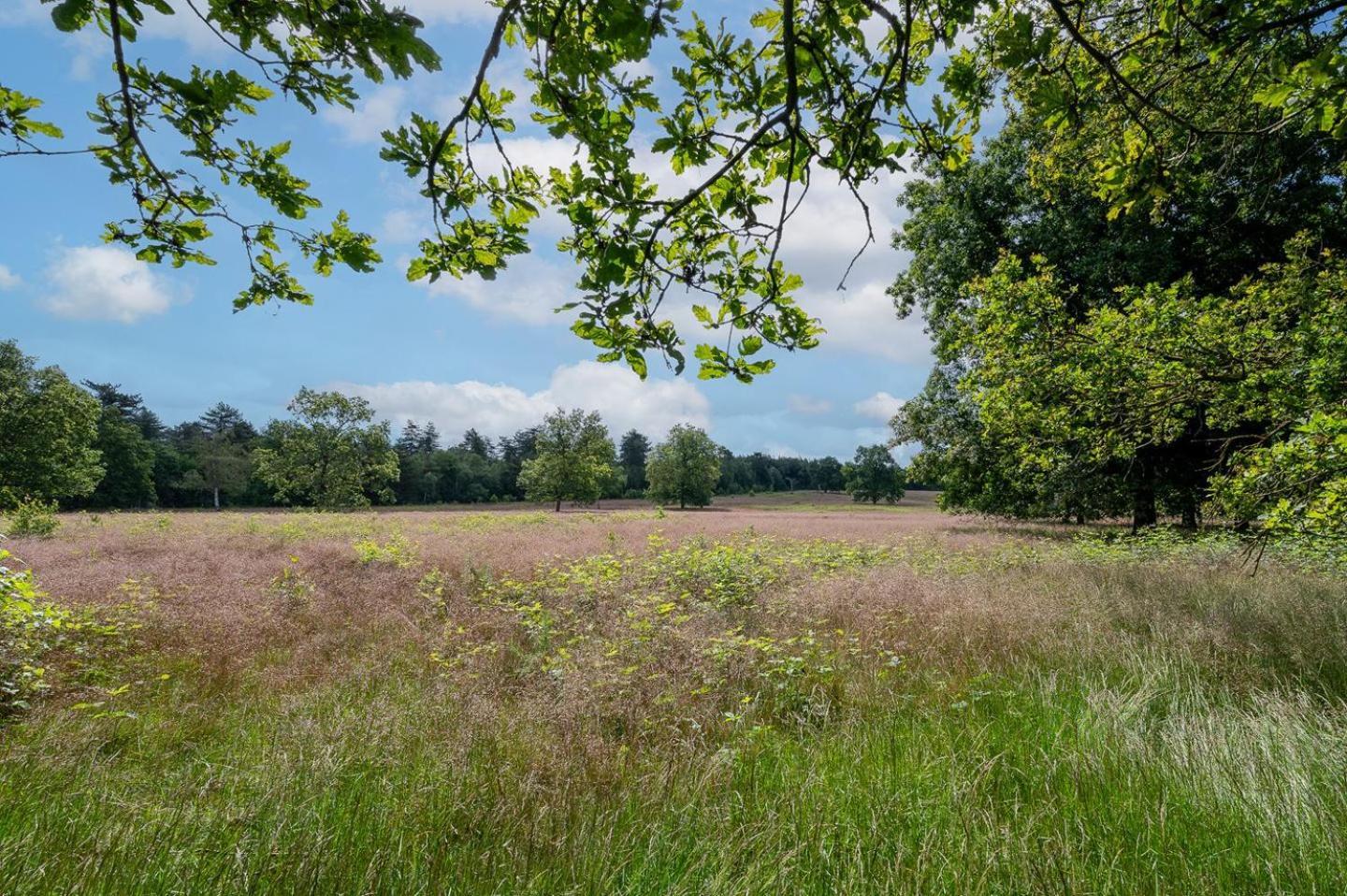 Landhuisje 31 'De Akkersteen' Bospark Ijsselheide Zwolle Hattemerbroek Exteriör bild